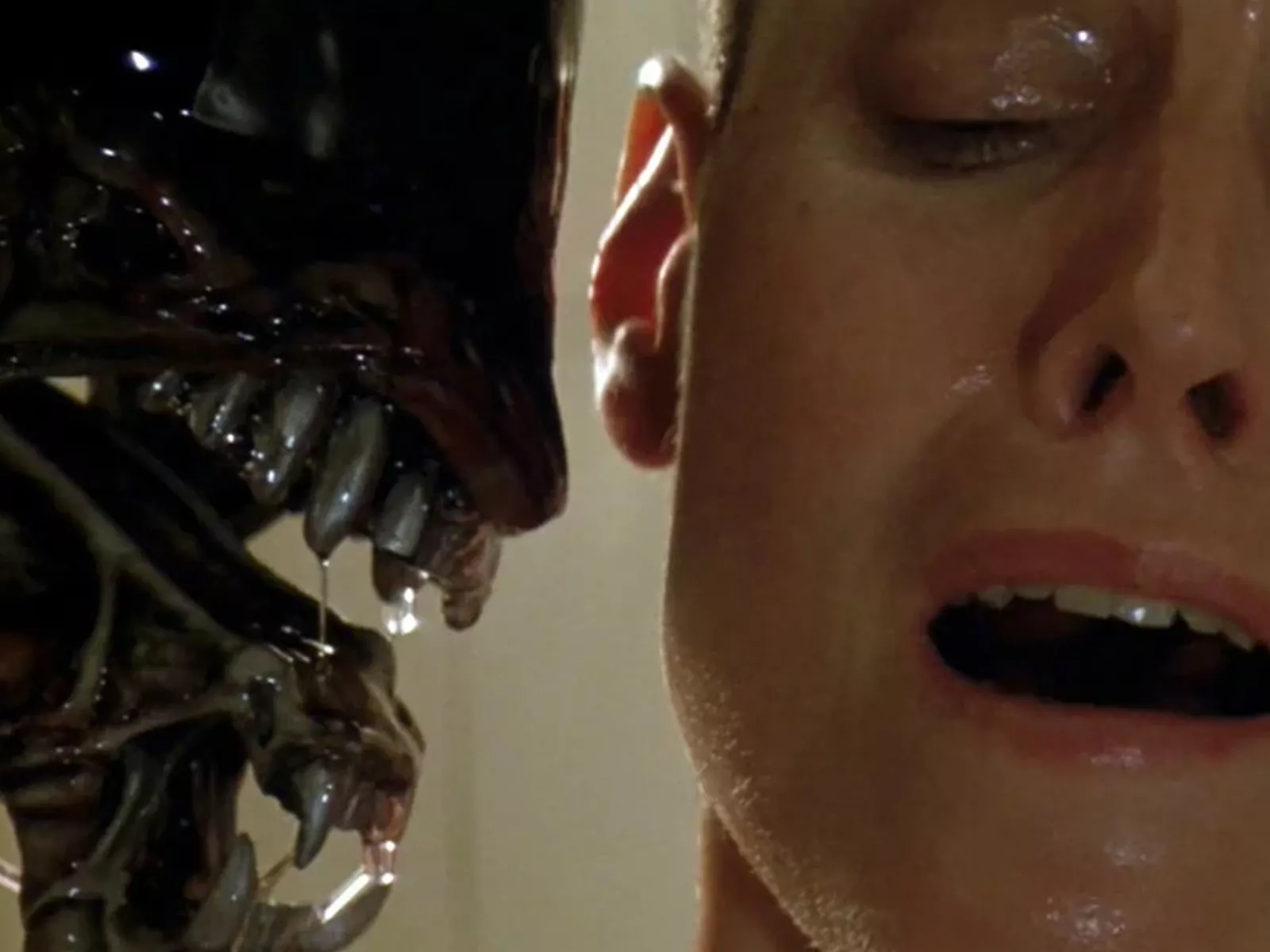 Internet Loves 'Adorably Horrifying' Dogs Recreating Iconic 'Alien 3' Scene - Vimarsana News
