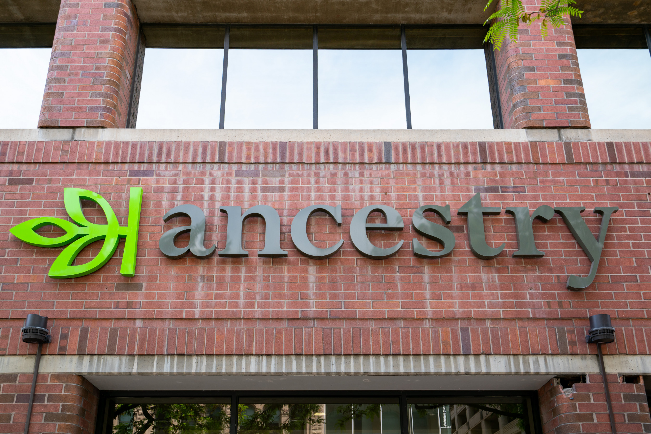 Fact Check Did Asset Manager Blackstone Buy Americans' DNA? Newsweek