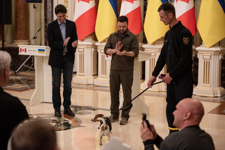 Video Shows Zelensky Awarding Beloved Bomb-Sniffing Dog