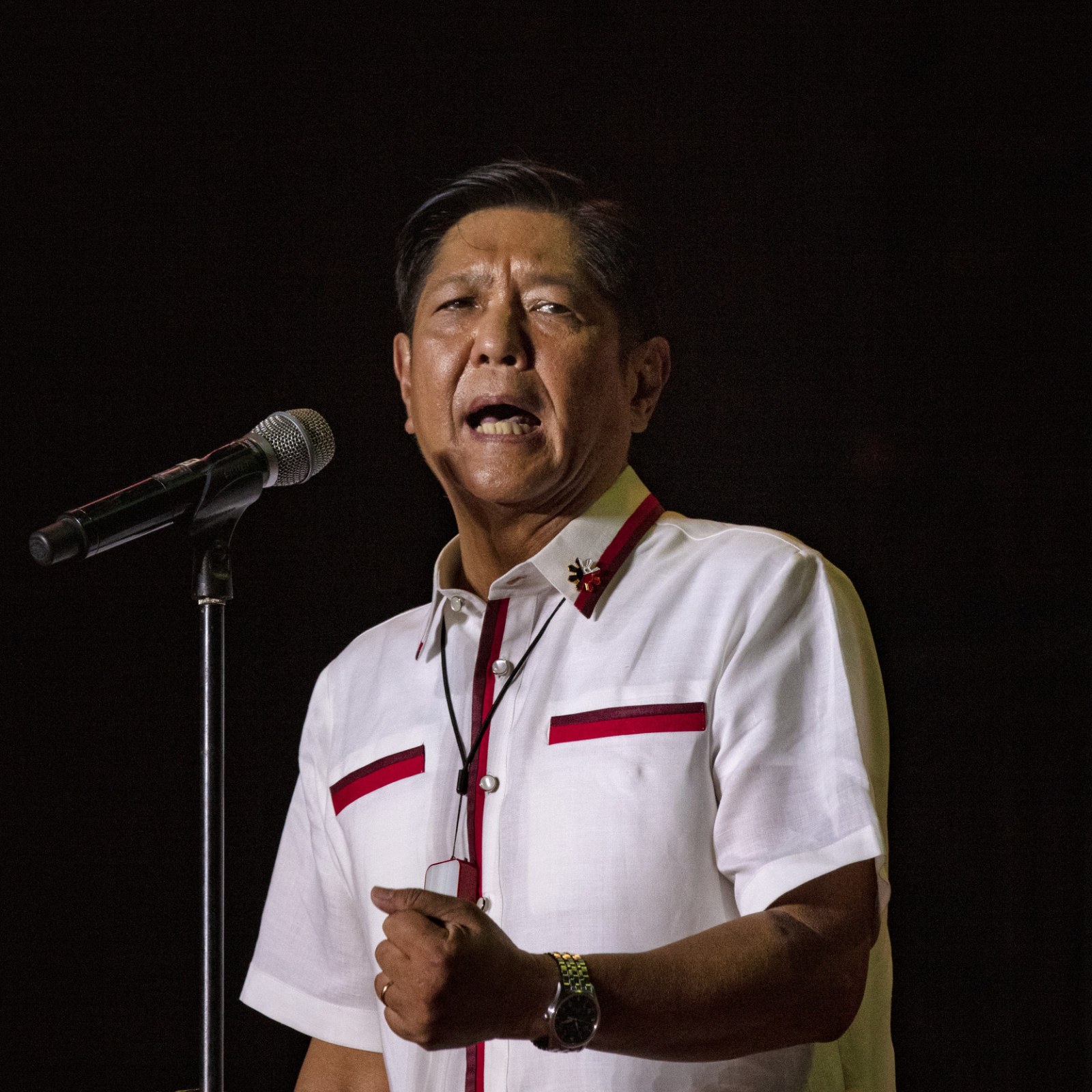 Roque defends Bongbong Marcos: 'He was only 15 years old in 1972