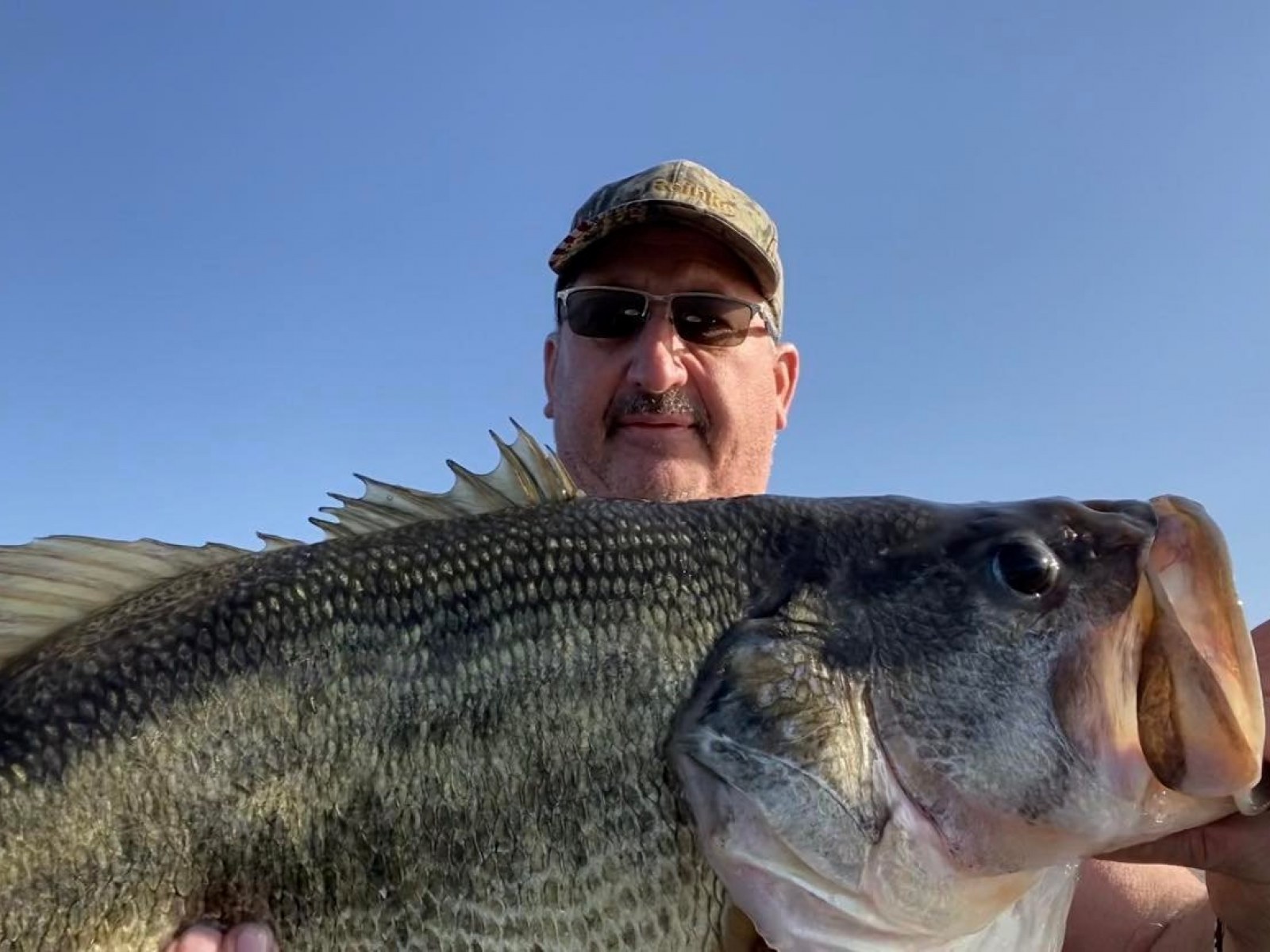 Man Catches 'Monster' Bass With Plastic Worm, Throws It Back