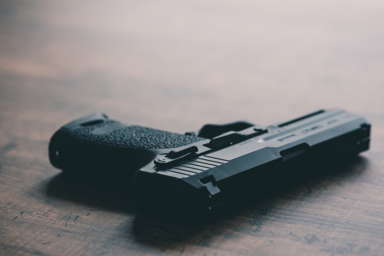 Gun