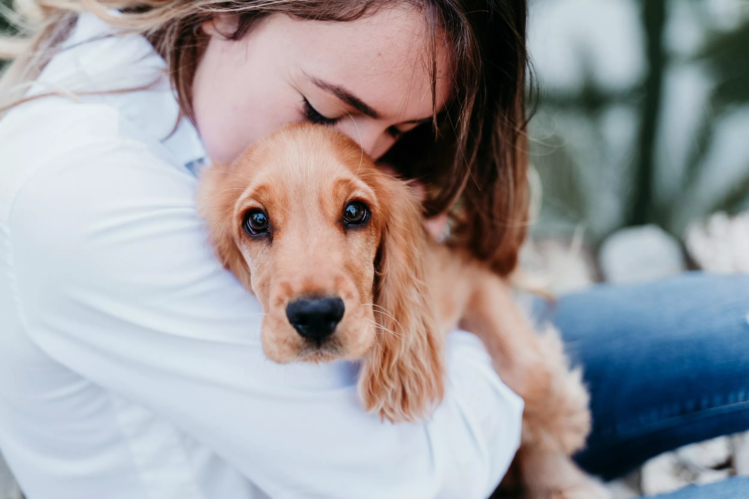 Woman Catches Dog After It Jumps From Window in Shocking Clip - Vimarsana News