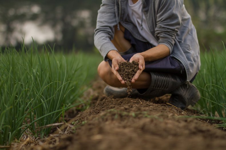 Gardeners Share Their Best Ideas 2 Man handling soil