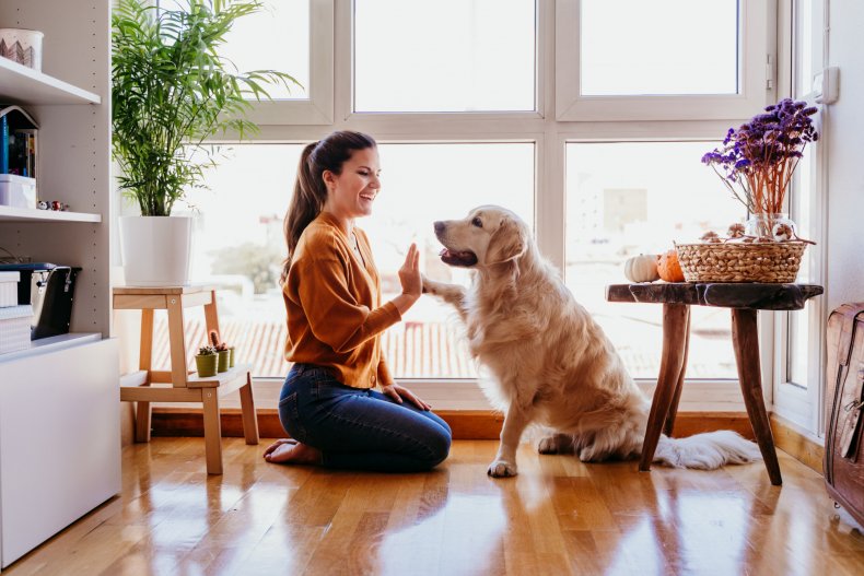 A woman playing with a dog.