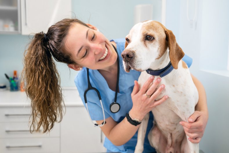 Veterinarian smiling with dog