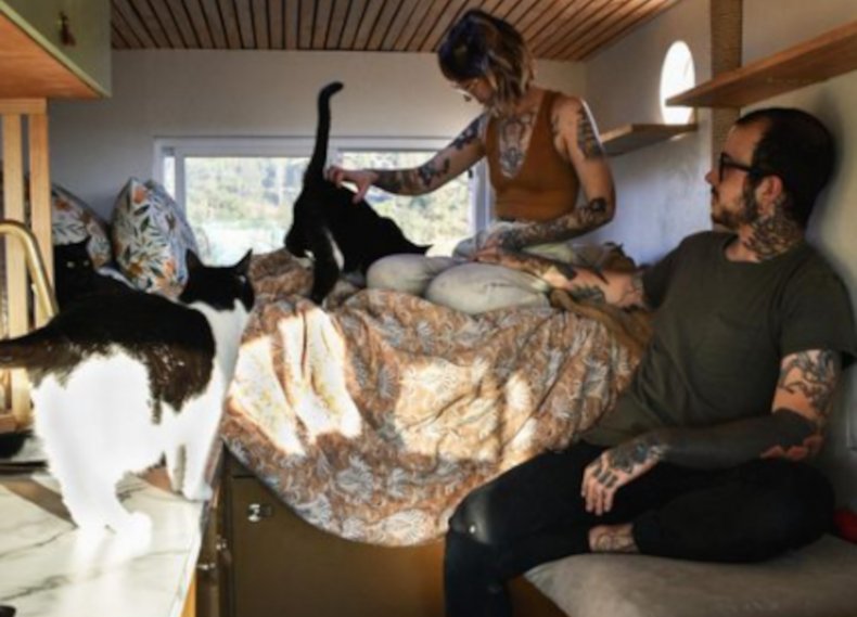 Couple in van with cats - wildinthehills