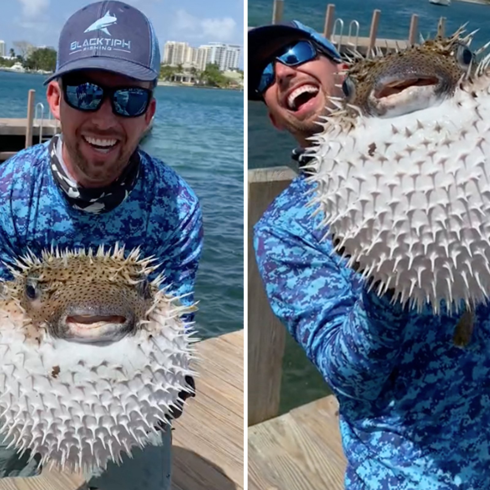 Watch Florida Fisherman Catch Enormous Pufferfish, Throw It Back Into Sea