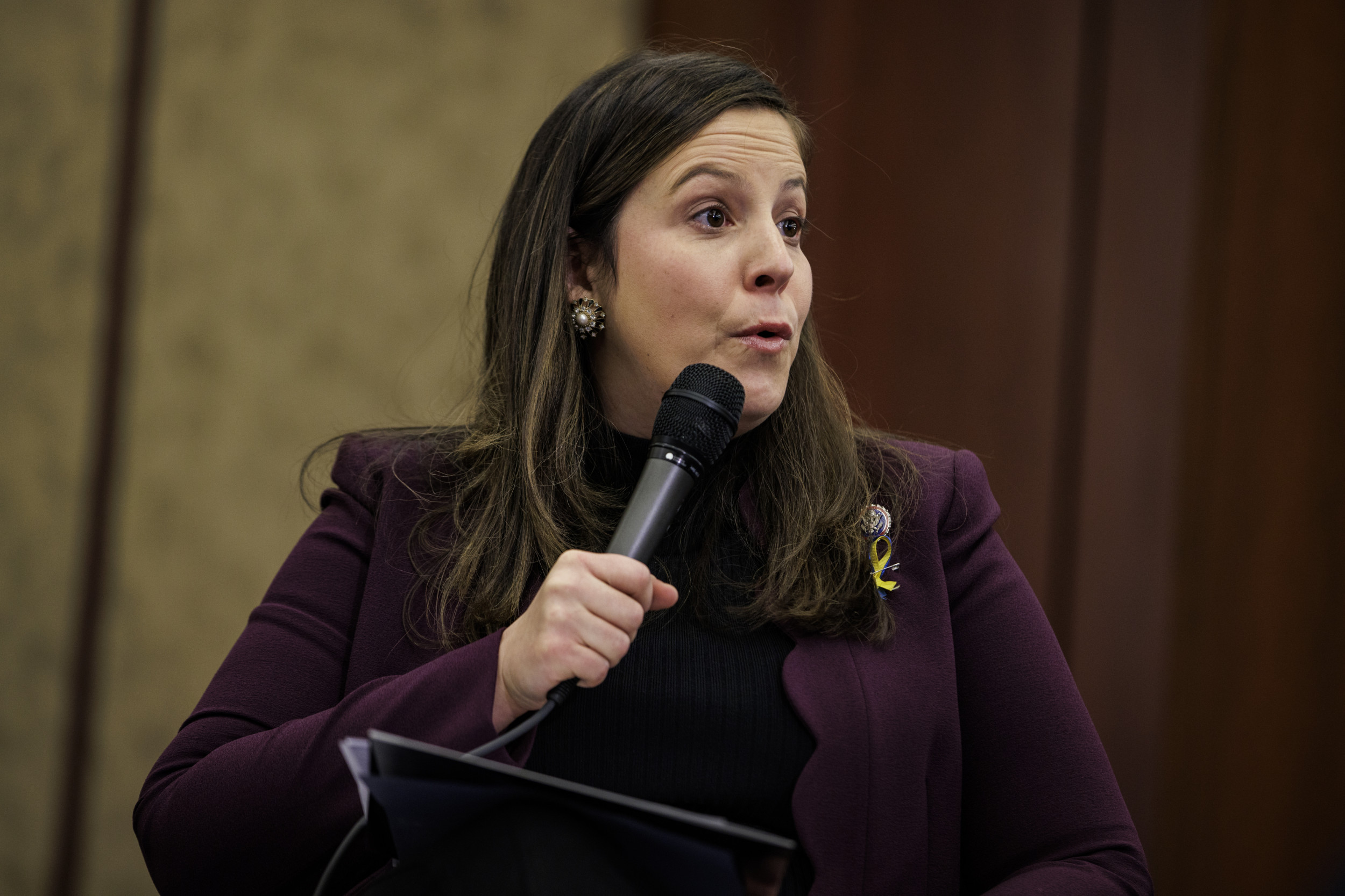 Elise Stefanik's 'Replacement Theory' Ads Criticized After Buffalo Shooting