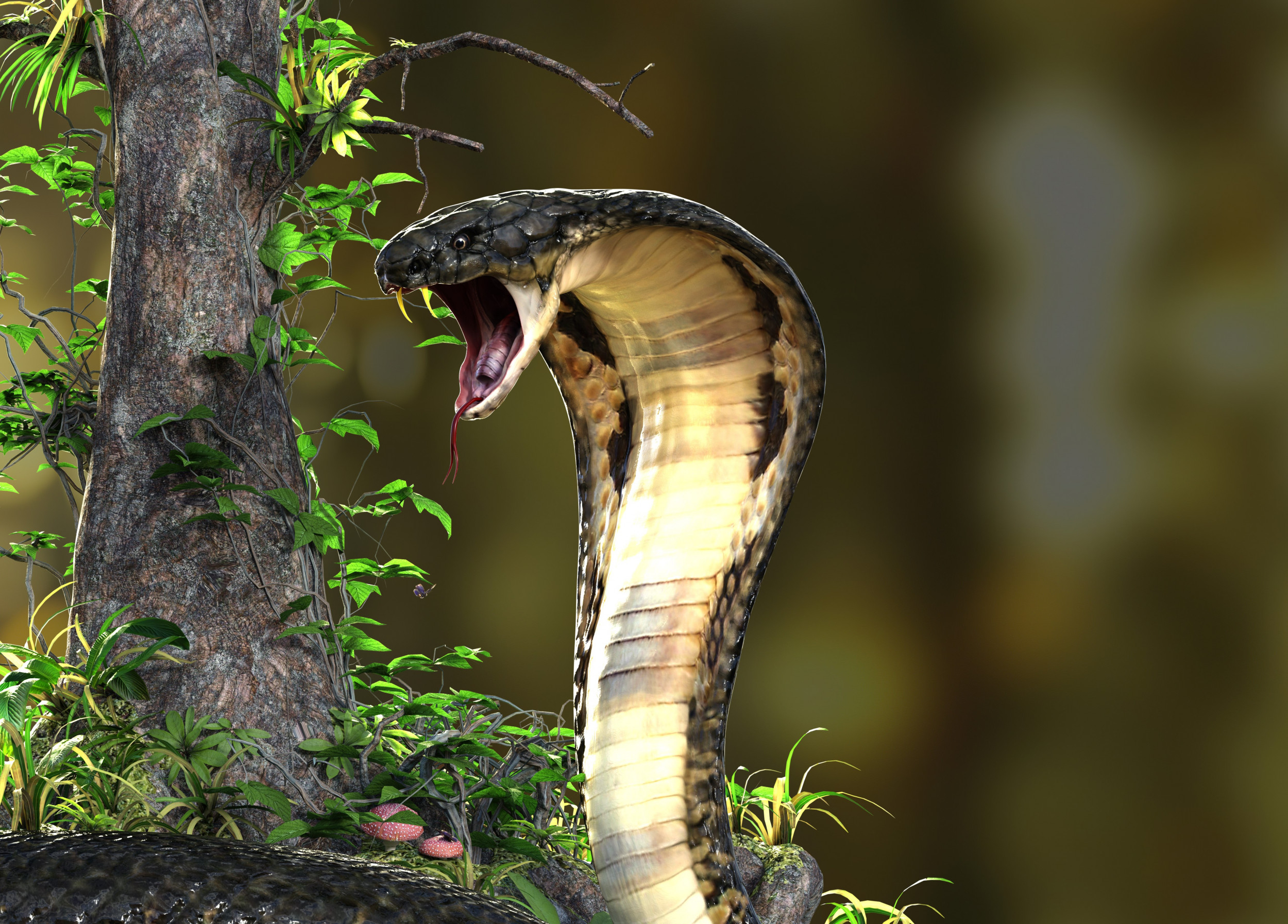 Big King Cobra Snake with Hood