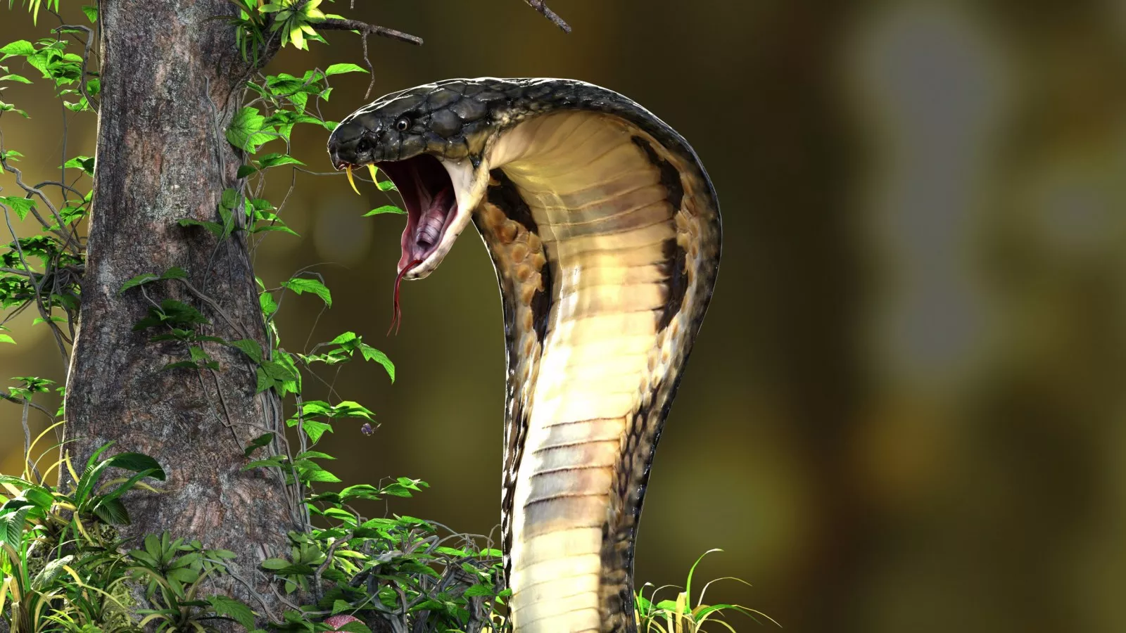 Snake Charmer Dies After Playing With Cobra, Bitten on Finger and Mouth Snake Charmer Dies After Playing With Cobra, Bitten on Finger and Mouth