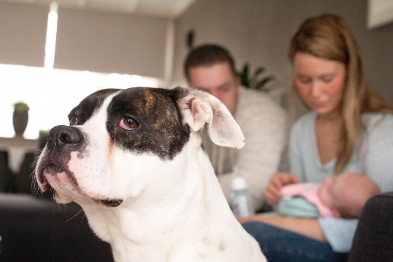 File photo of family and dog.