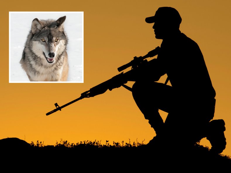 Hunter