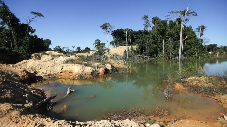 Amazon deforestation