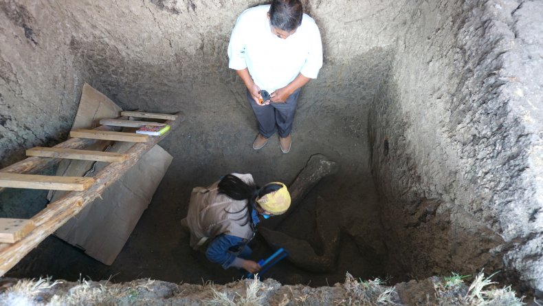 Mammoth bones found in Mexico patio