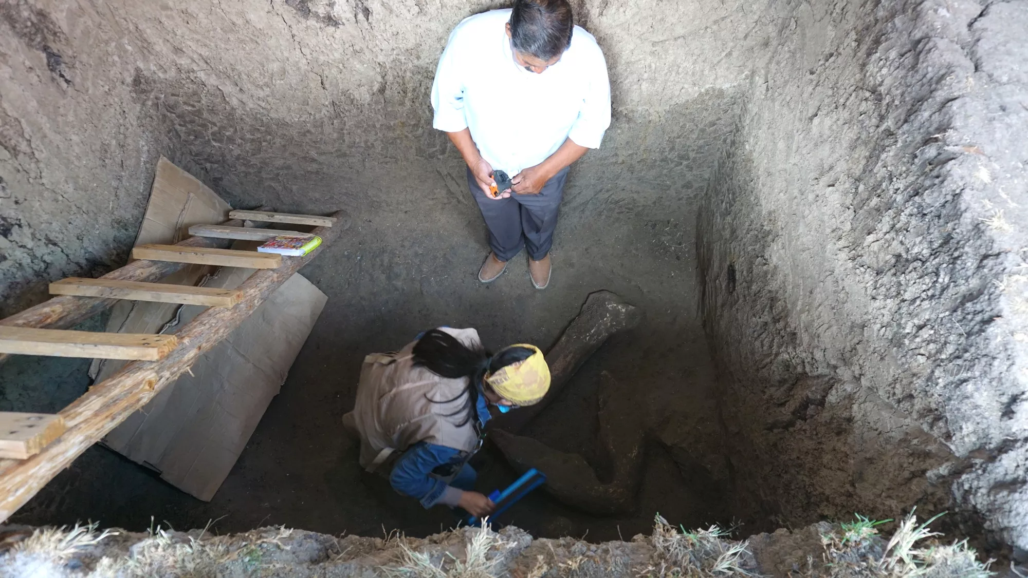Giant Job: Digging Hole for Toilet Cistern Exposes Ancient Mammoth Bones - Vimarsana News