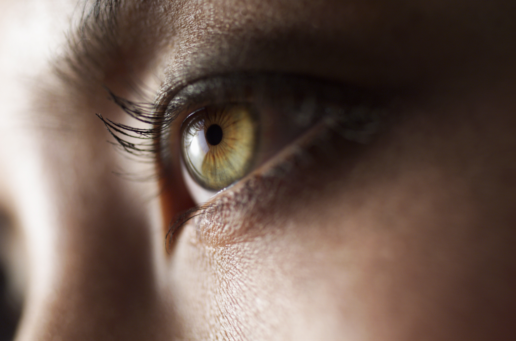 Dead Human Eyes Respond to Light Five Hours After Donor Passed