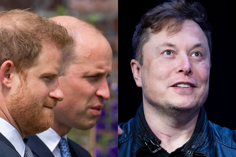 Princes William and Harry and Elon Musk