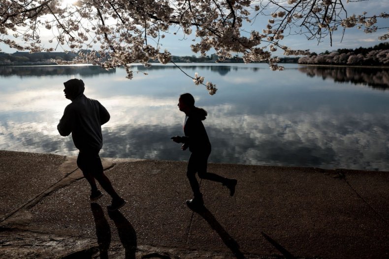 Joggers run along the Tidal Basin D.C.