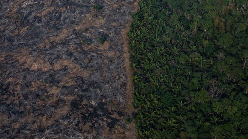 2019 Amazon rainforest wildfire