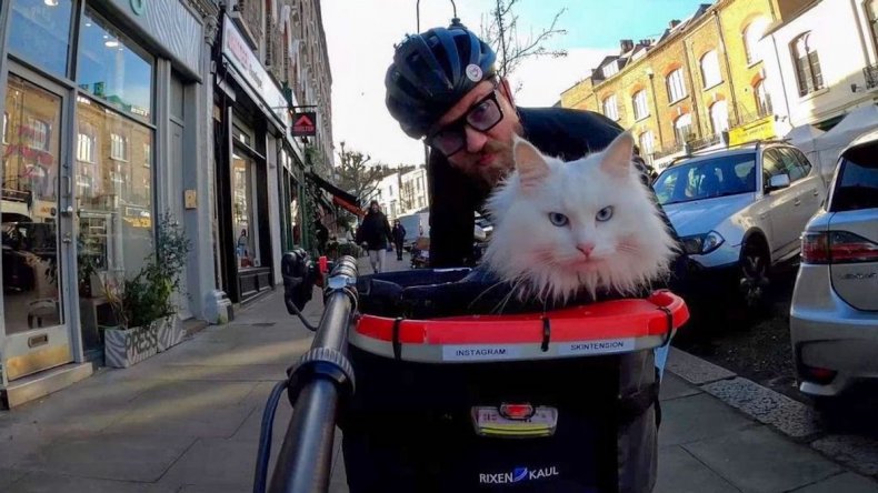 Travis Nelson and Sigrid the hissing cat