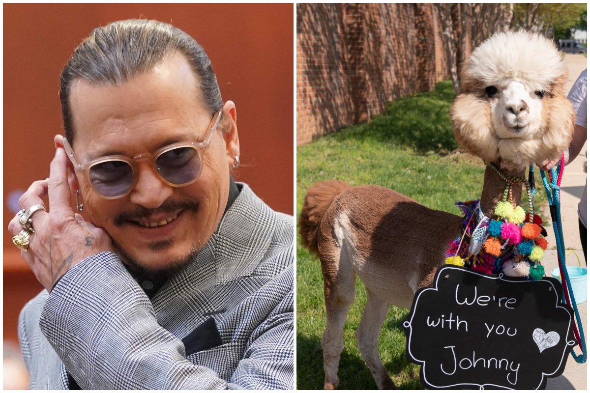 Johnny Depp and an alpaca