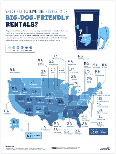 big-dog-friendly rentals big-dog-friendly rentals