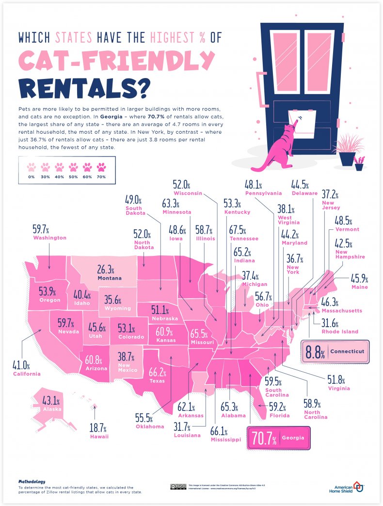 cat-friendly rentals