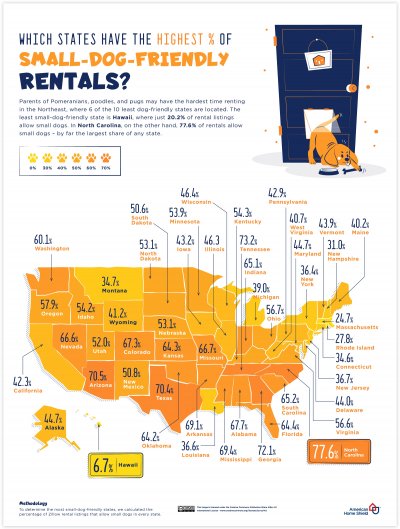 small-dog friendly states small-dog friendly states