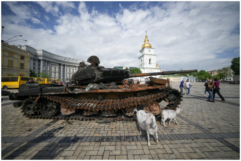 Goats near destroyed tanks