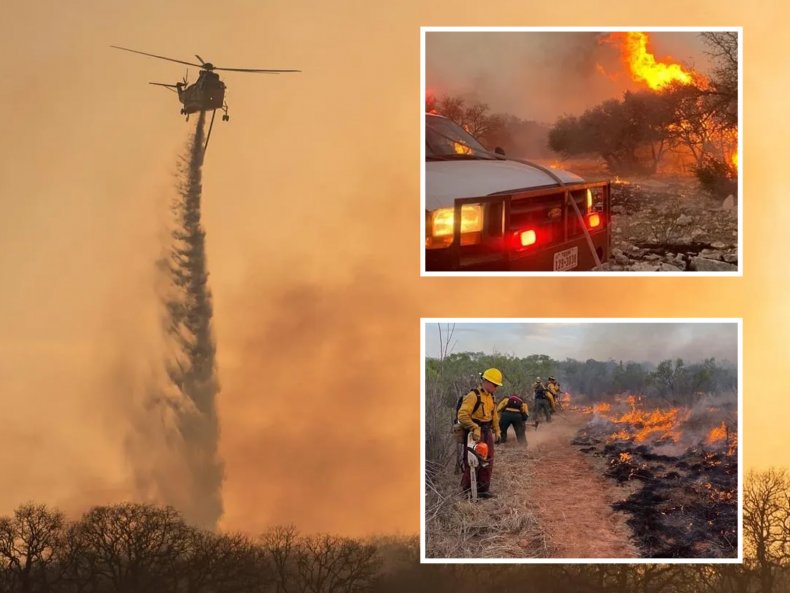 Texas A&M Forest Service