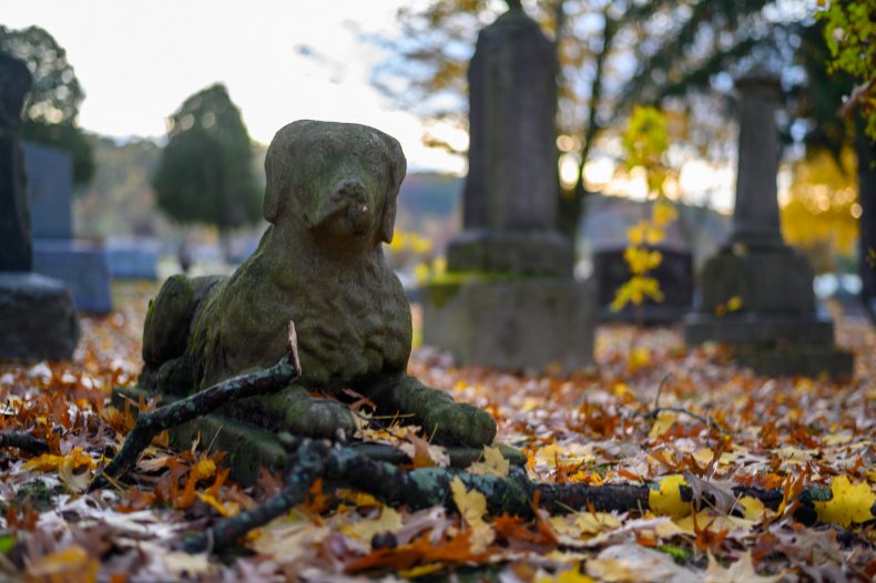 dog statue. cemetery
