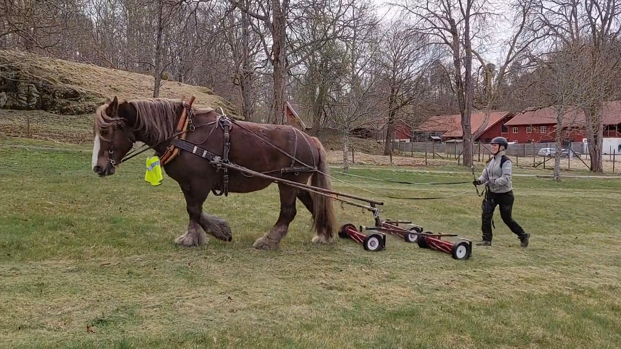 MOWING THE GRASS AND COMPLETING THE HORSE STABLE