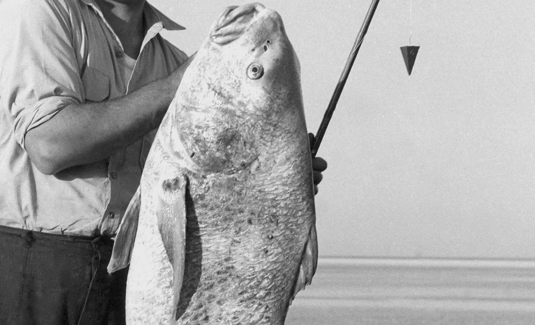 Texas Bride in Wedding Dress Catches Huge Black Drum Fish - Vimarsana News