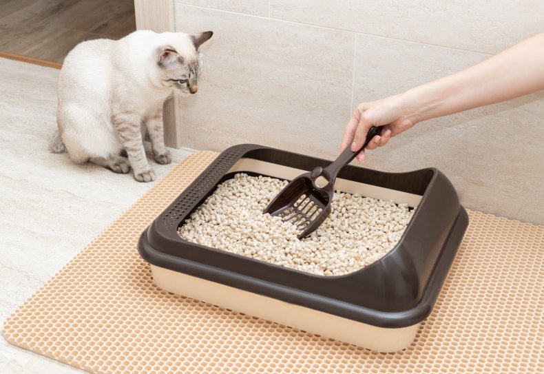 Person cleaning cat litter box.