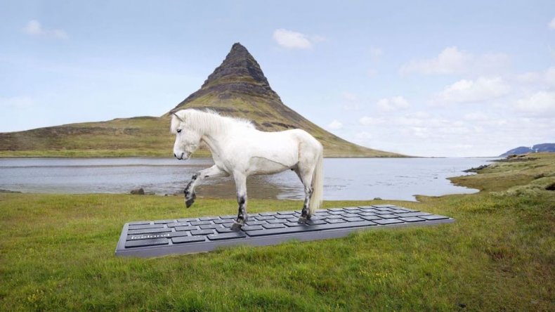 Iceland horse replies to work emails