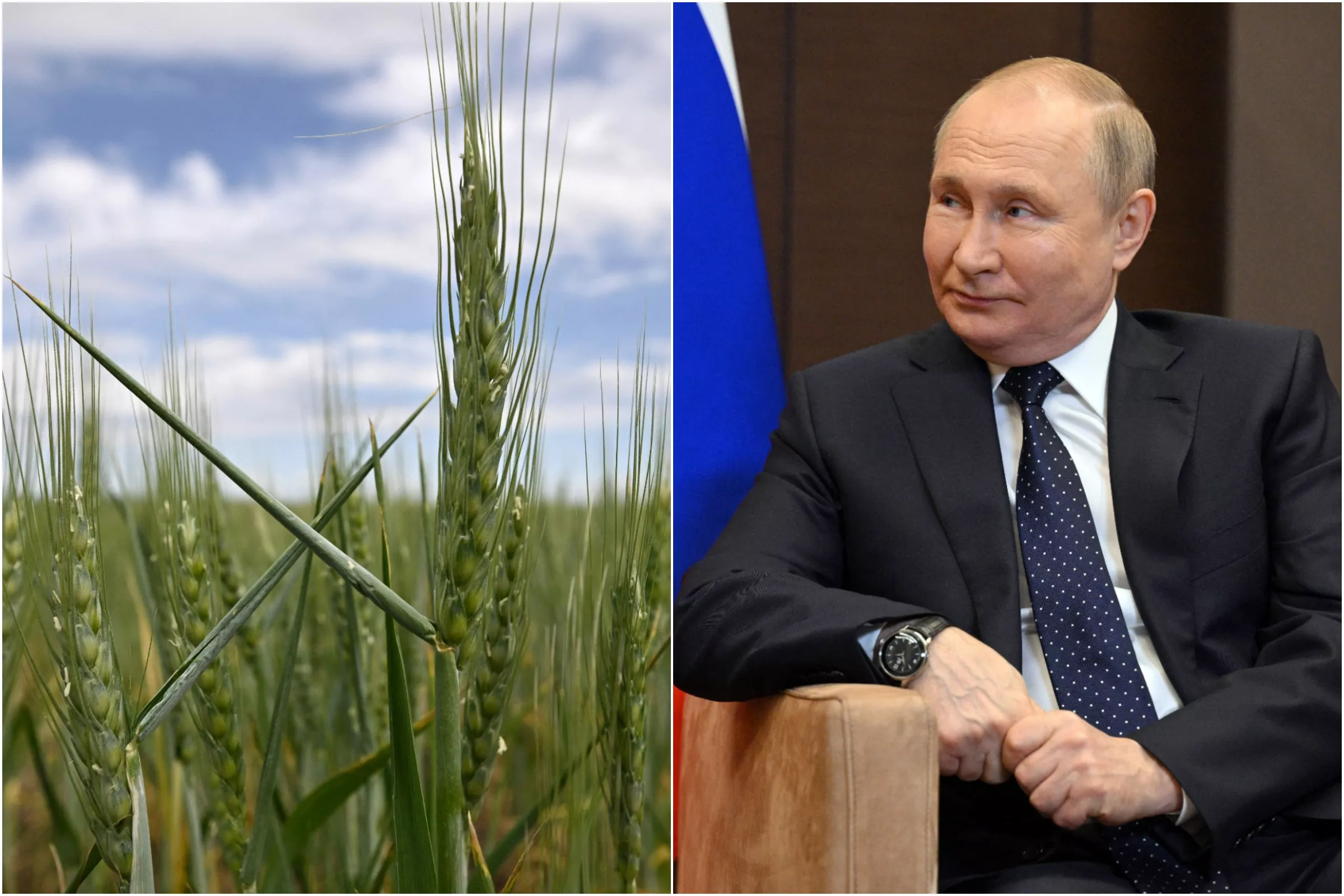 Russian TV Says Allies Loyal to Putin Won't Starve as Country Hoards Food - Vimarsana News