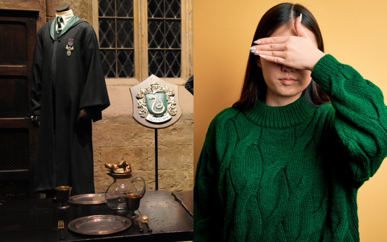 Harry Potter costumes and a green sweater.