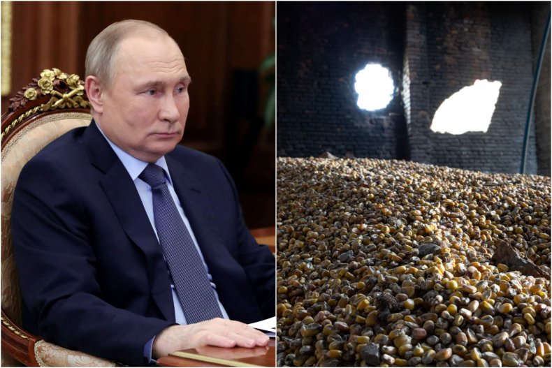 Vladimir Putin and grain