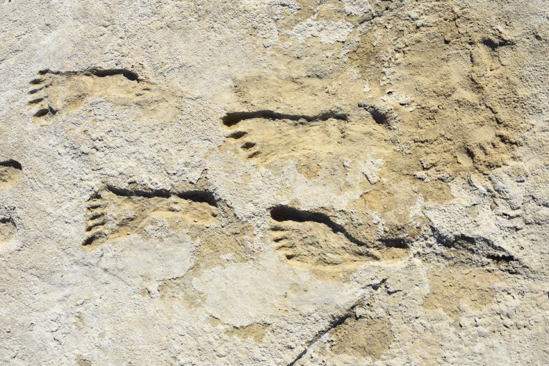 Fossilized human footprints in New Mexico