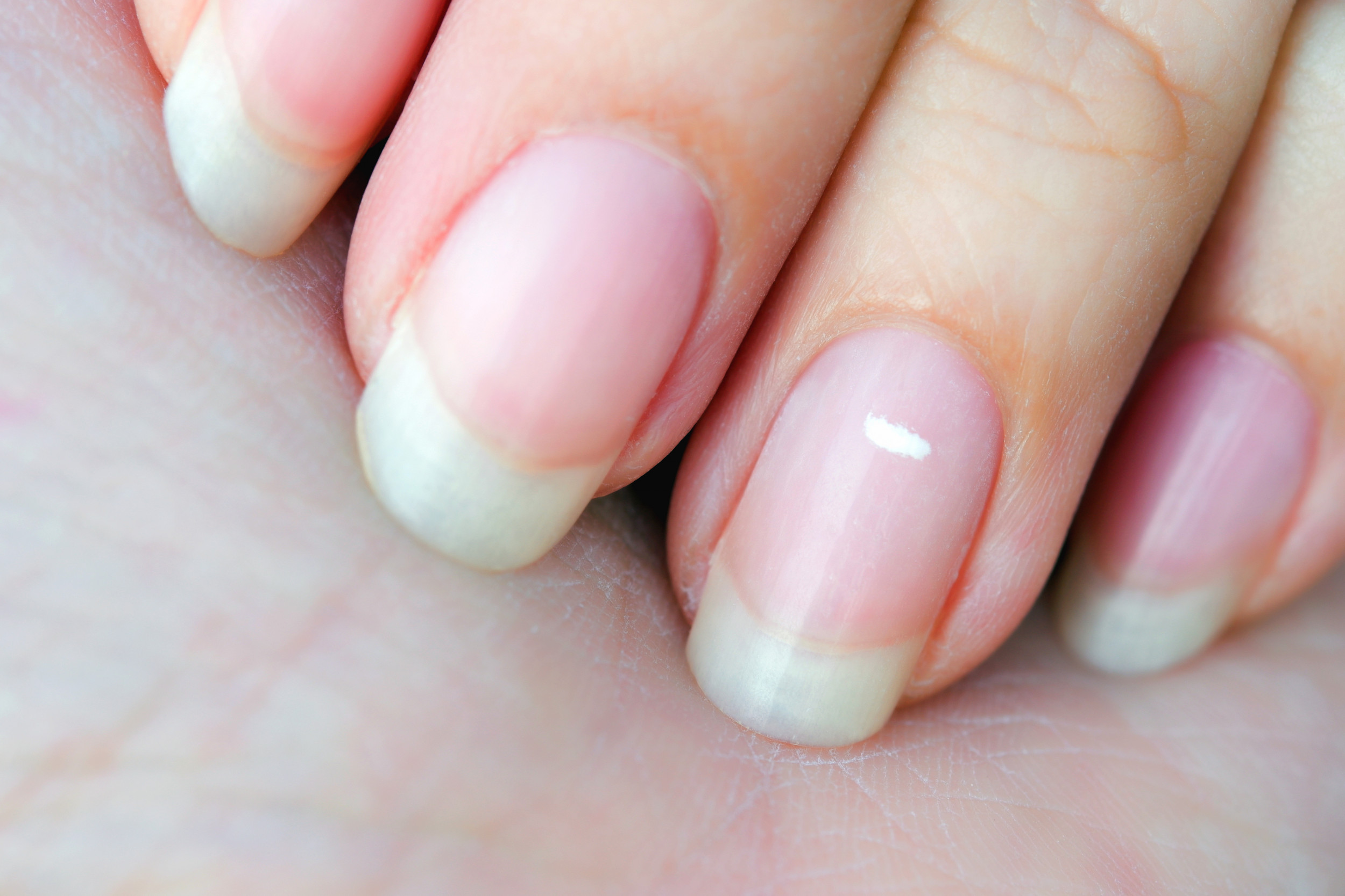 The Micro French Manicure: Fall's Big Short Nail Trend