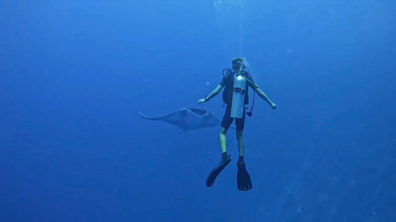 pJohan Kinch, 20 swimming with mantas in Fuvahmulah, Maldives, on April 9, 2022. (@lalibertaddelmar/Zenger)/p