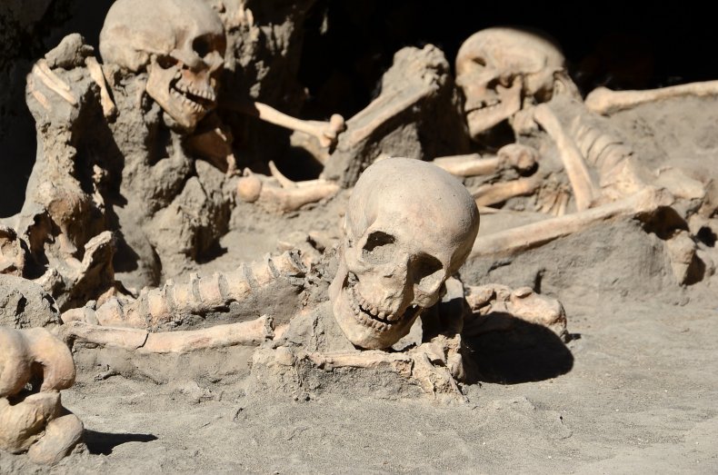 Herculaneum skeleton