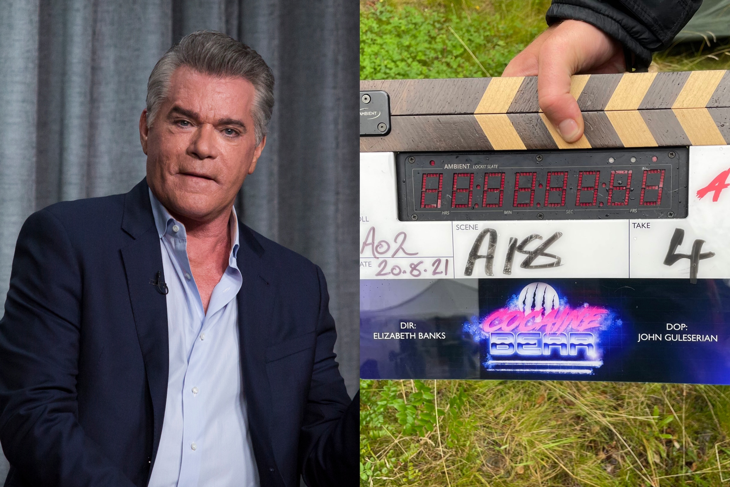 Ray Liotta Joyfully Told Us About His 'Nutty' Next Movie 'Cocaine Bear'