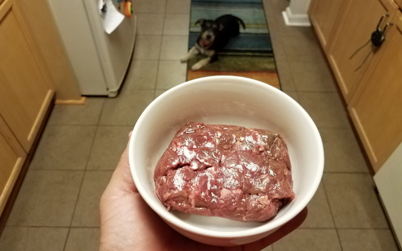 A dog and a rare steak.