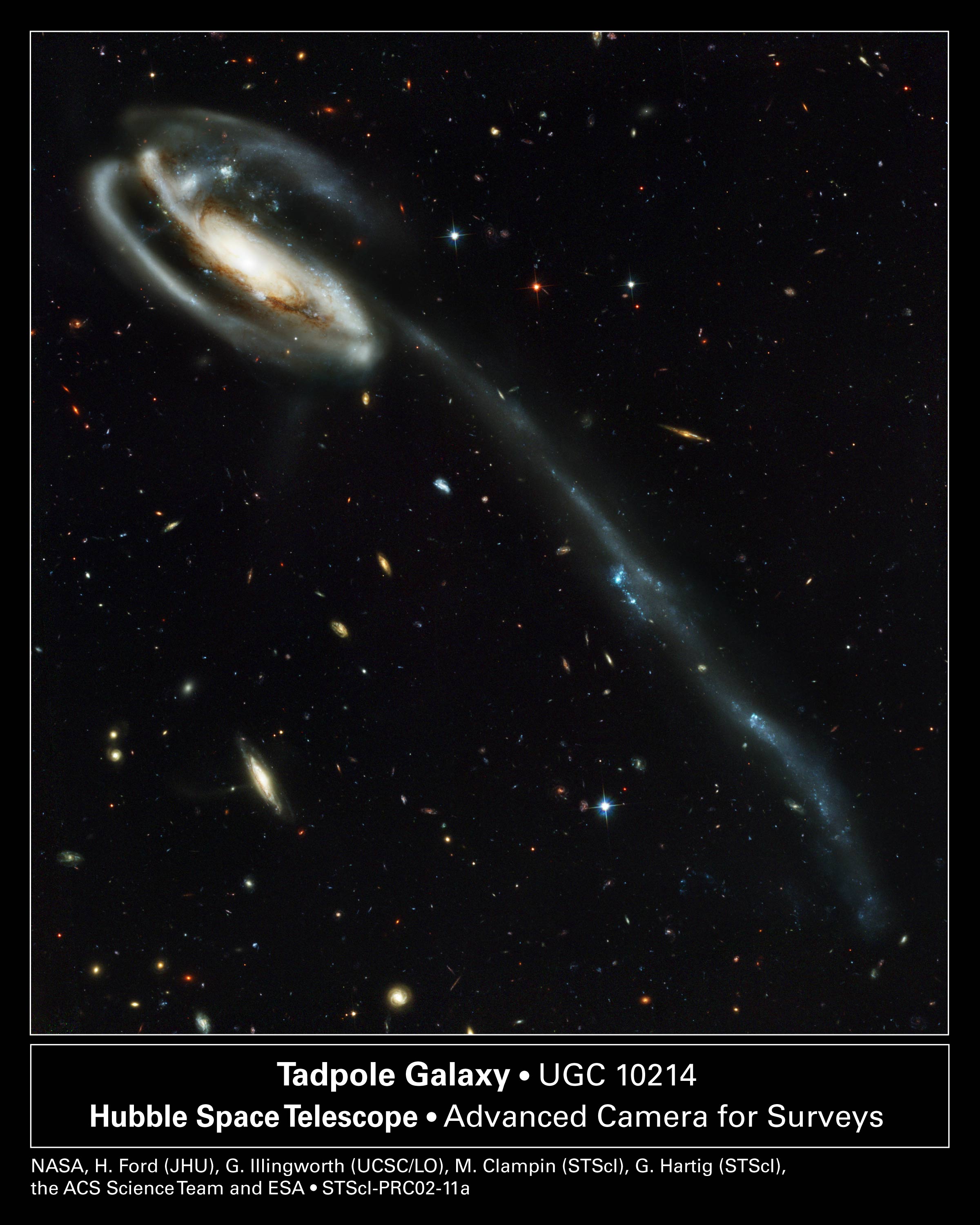 What did hubble see on your birthday nasa. Смотреть фото What did hubble see on your birthday nasa. Смотреть картинку What did hubble see on your birthday nasa. Картинка про What did hubble see on your birthday nasa. Фото What did hubble see on your birthday nasa