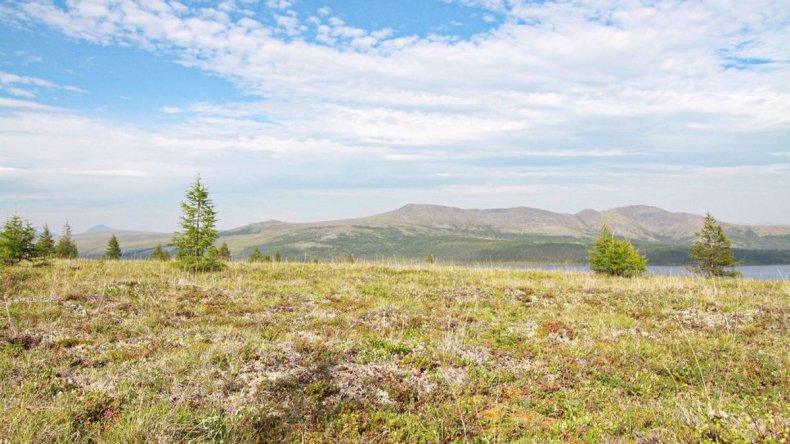 Tundra perto do Lago Nutenvut na Rússia