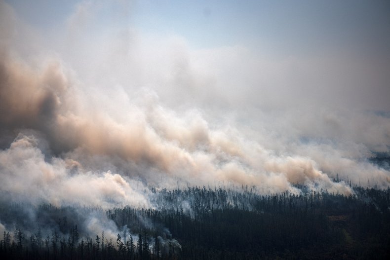 Siberian forest fire