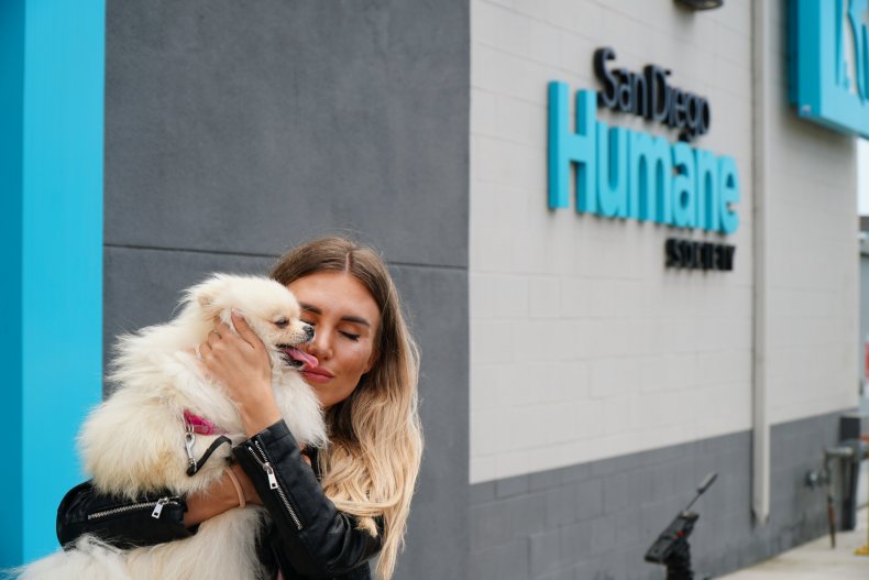 Perseya the Pomeranian dog with owner.