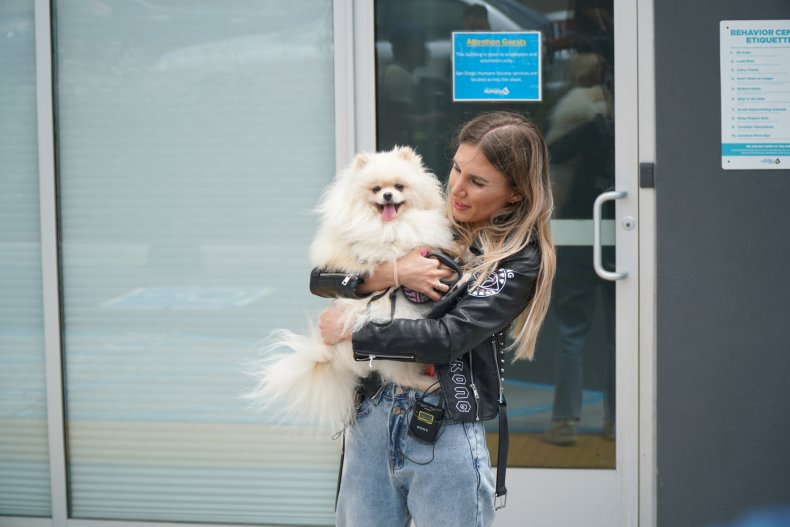 Perseya the Pomeranian dog with owner.